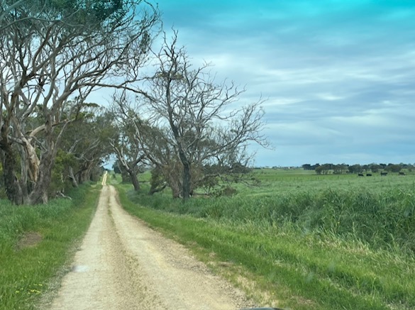 Beyond Bitumen Victoria