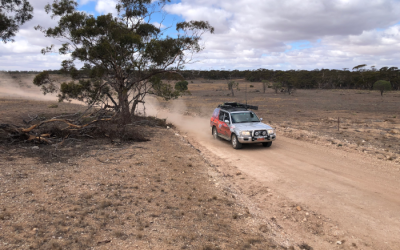 2026 NSW Rally